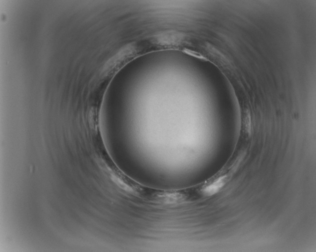 X0000065970428200603061154