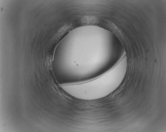 X0000065970429200603061154