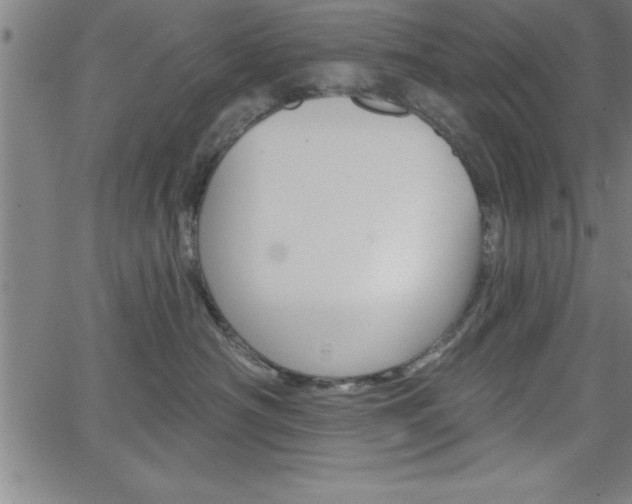 X0000065970430200603061154