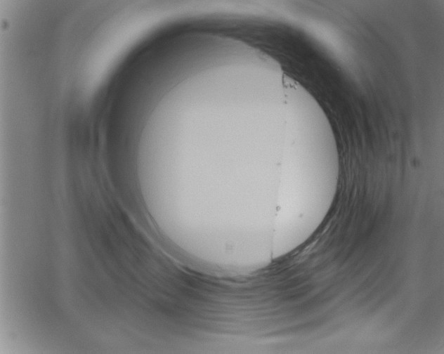 X0000065970431200603061154