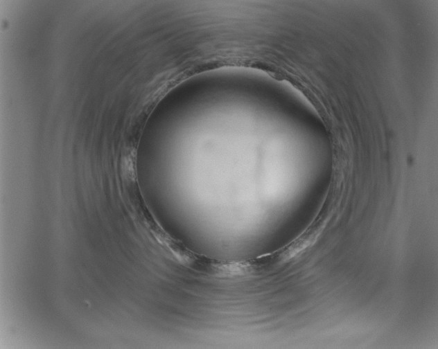 X0000065970432200603061154