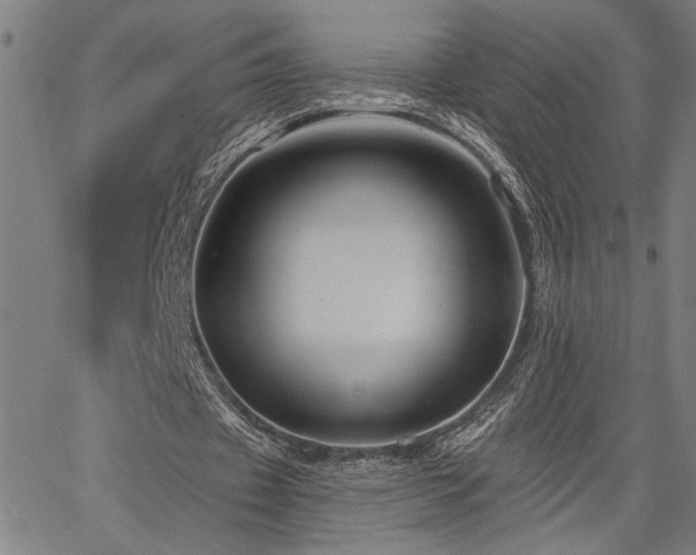 X0000065970433200603061153