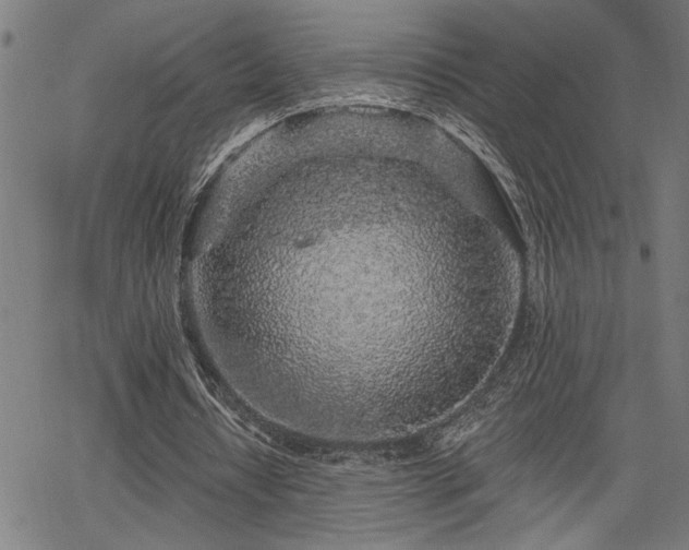 X0000065970434200603061153