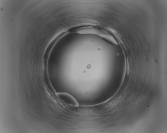 X0000065970435200603061153