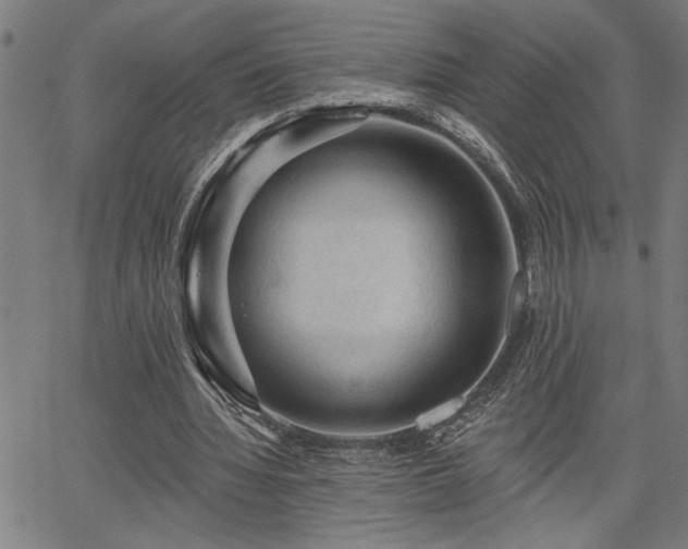 X0000065970436200603061153