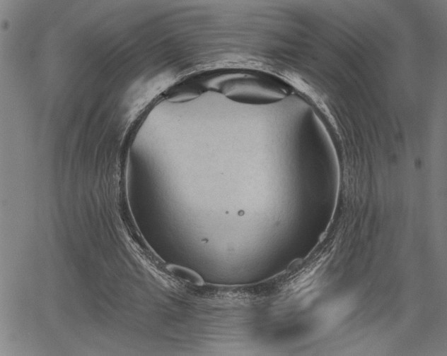 X0000065970437200603061153