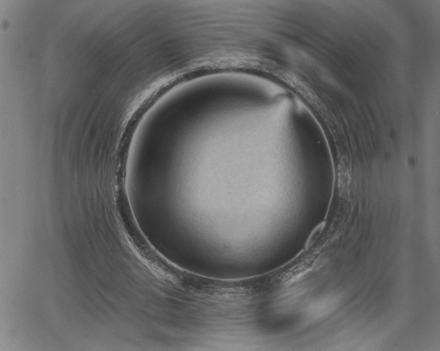 X0000065970438200603061153