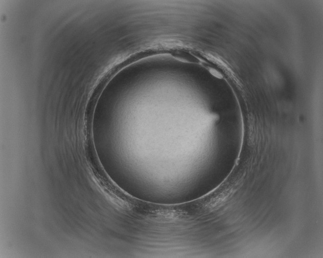 X0000065970439200603061153