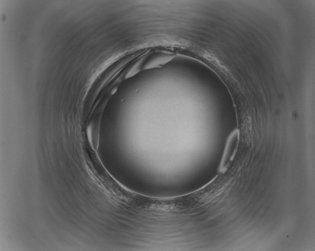 X0000065970440200603061153