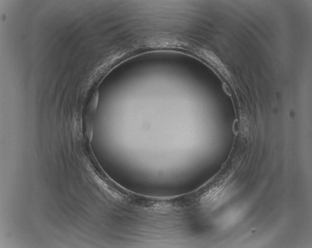 X0000065970441200603061153