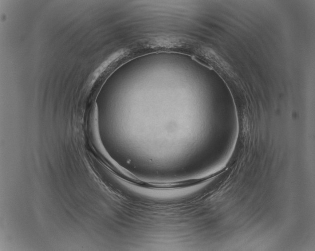 X0000065970444200603061153