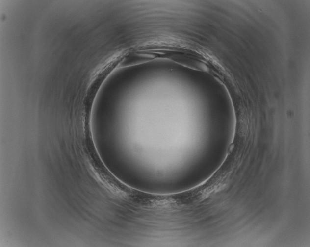 X0000065970446200603061153