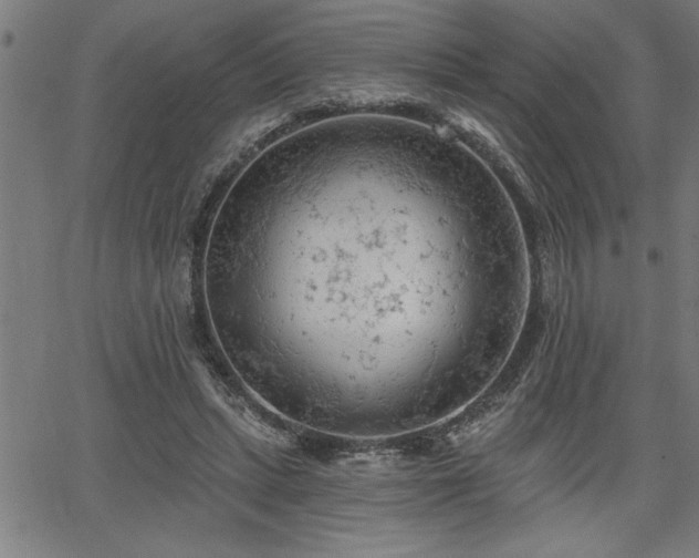 X0000065970447200603061153