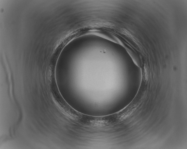 X0000065970448200603061153