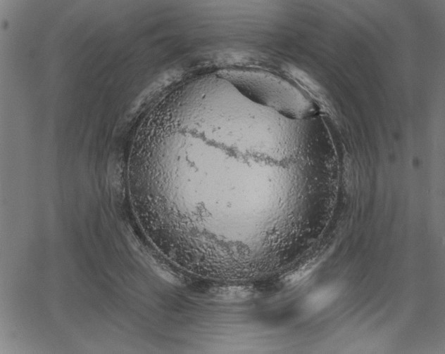 X0000065970449200603061153