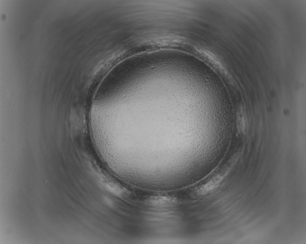 X0000065970453200603061153