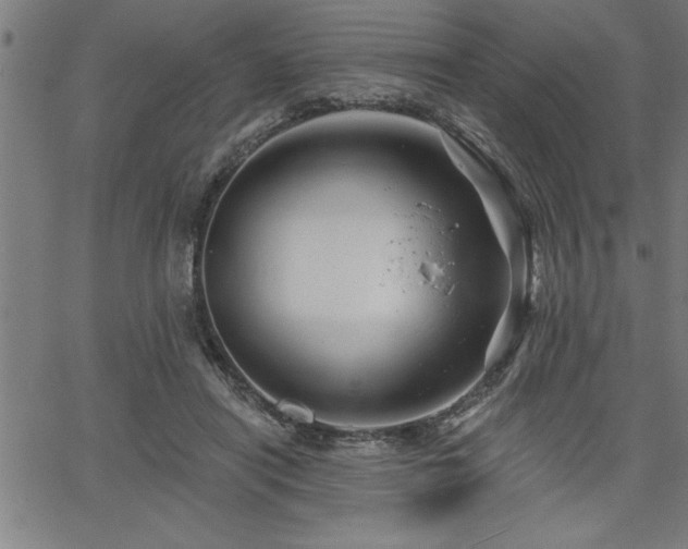 X0000065970454200603061153