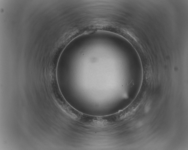 X0000065970455200603061153