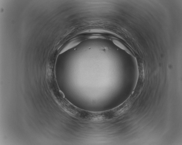 X0000065970456200603061153