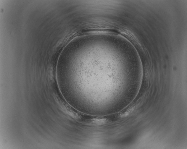 X0000065970457200603061153