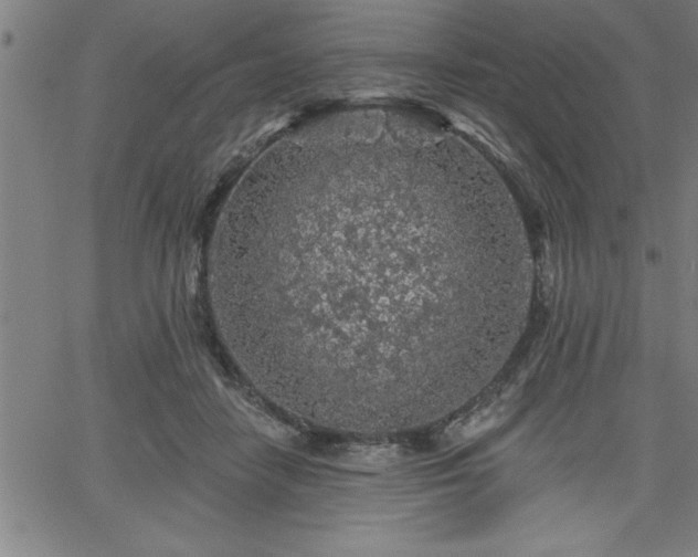 X0000065970458200603061153