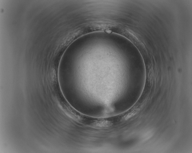 X0000065970459200603061154