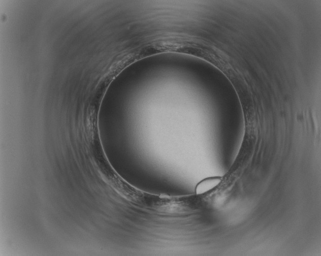 X0000065970460200603061154