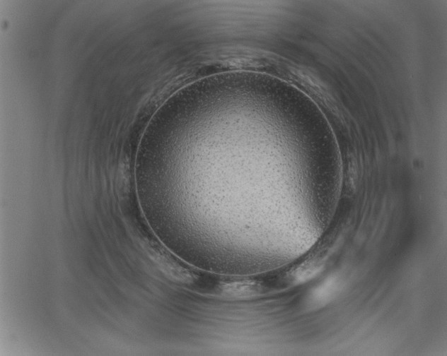 X0000065970461200603061154