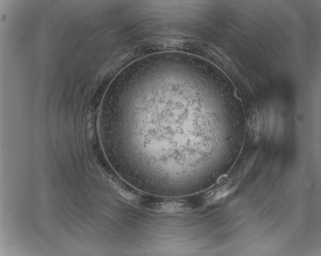 X0000065970462200603061154