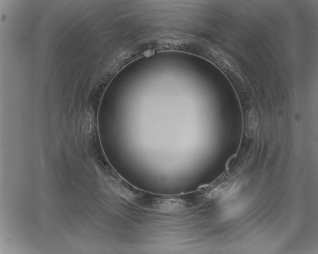 X0000065970463200603061154