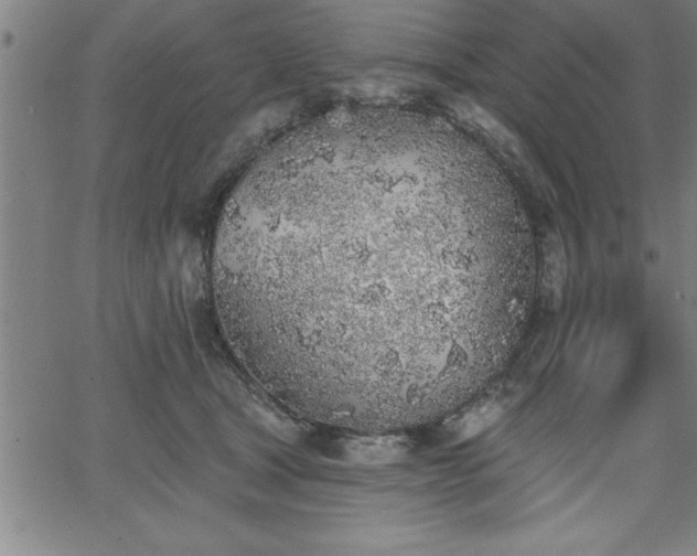 X0000065970465200603061154