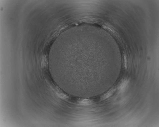 X0000065970467200603061154