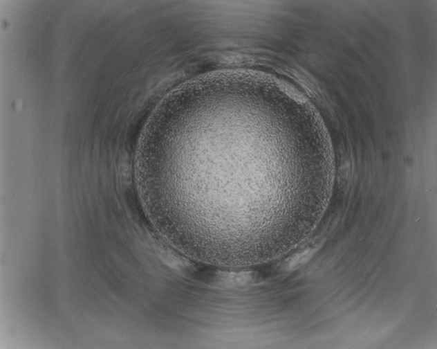 X0000065970469200603061154