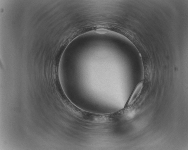 X0000065970470200603061154