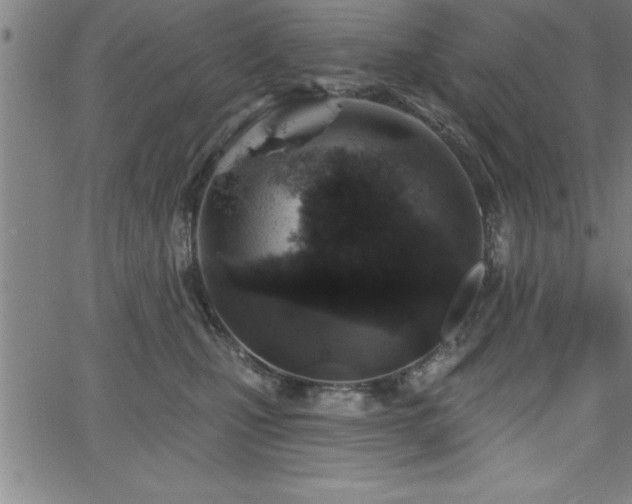 X0000065970471200603061154