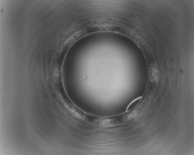 X0000065970472200603061154