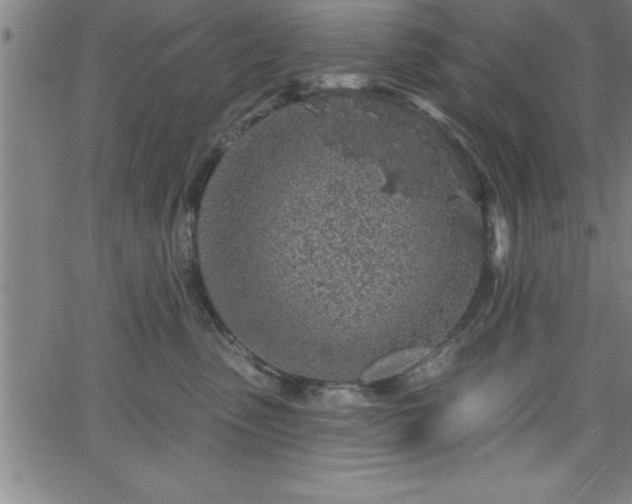 X0000065970475200603061154