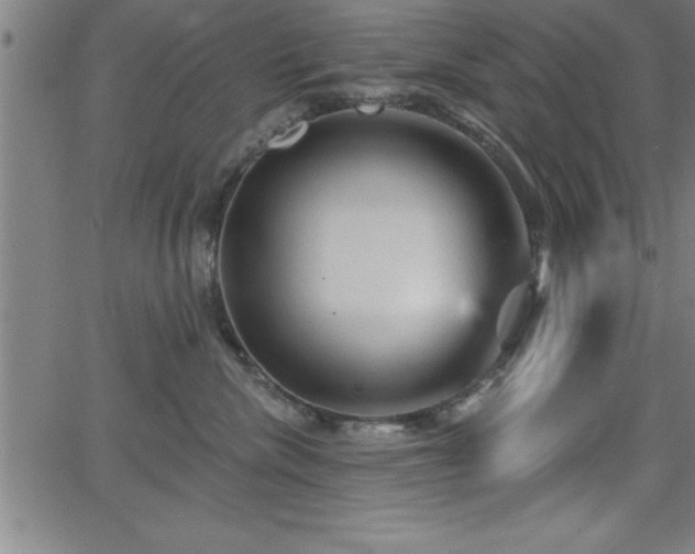 X0000065970476200603061154