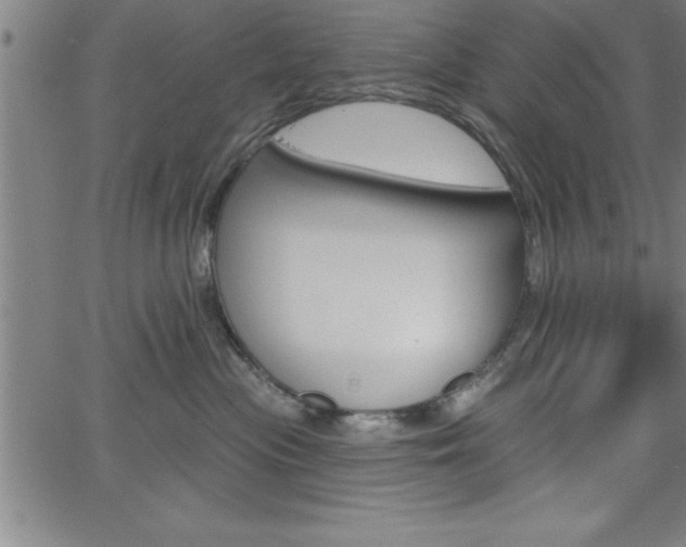 X0000065970477200603061154