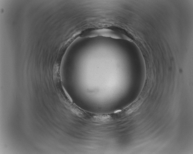 X0000065970480200603061154