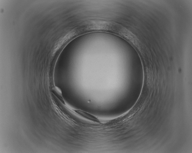 X0000065970482200603061153