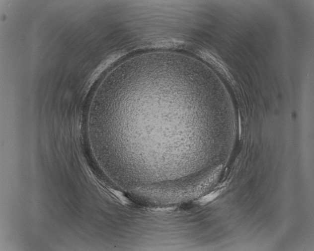 X0000065970483200603061153