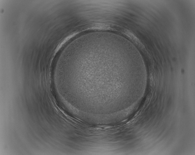 X0000065970484200603061153