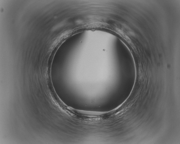 X0000065970485200603061153