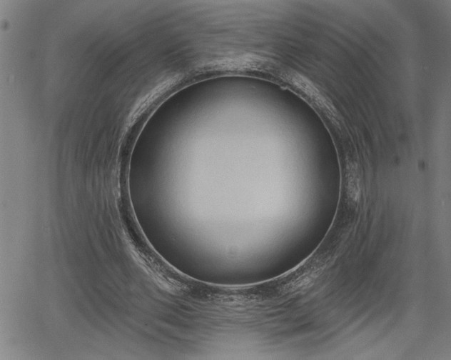 X0000065970486200603061153