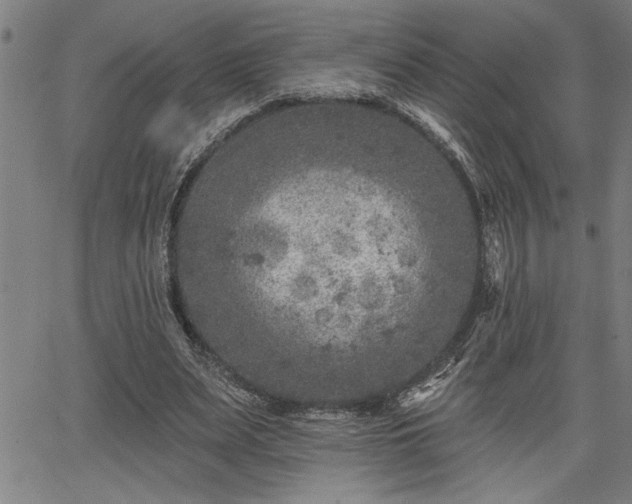 X0000065970487200603061153