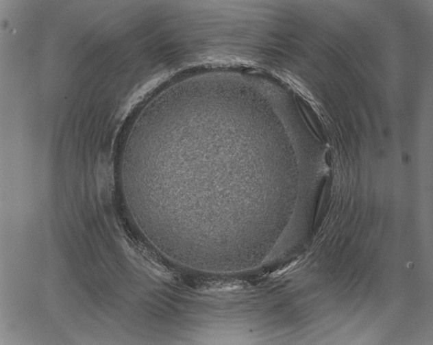 X0000065970488200603061153