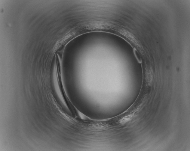 X0000065970489200603061153