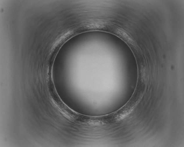 X0000065970490200603061153