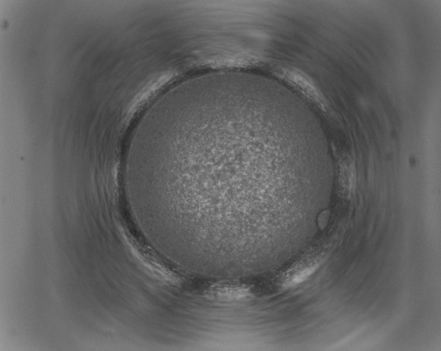 X0000065970491200603061153